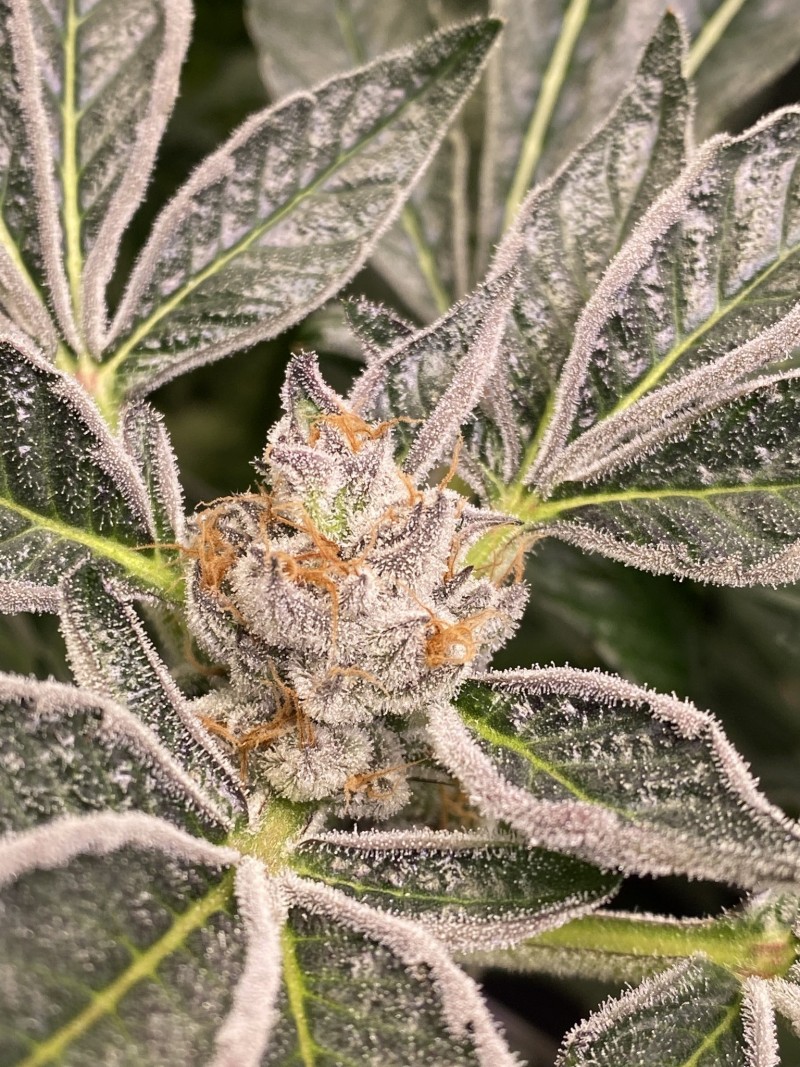 D125E563-A408-4F6D-ACF0-C5CA5C581D89