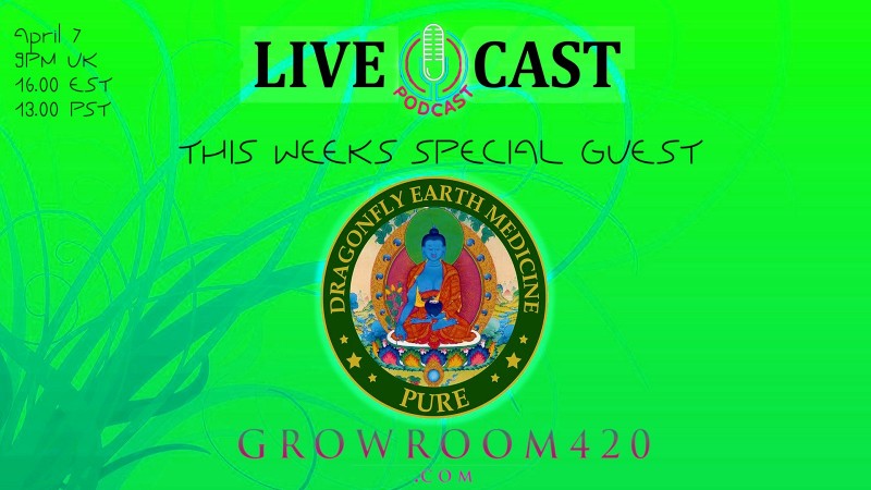 mn gmo pod 7 april  dragonfly