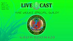 mn gmo pod 7 april  dragonfly