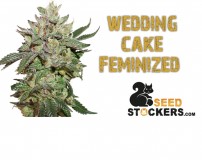 B1D0E147-03D5-4784-9212-CE2DB036E448