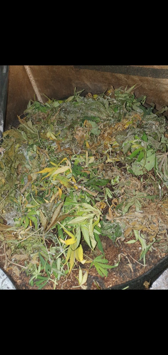 Screenshot_20210404-194855_Gallery