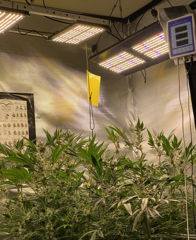 50534DAA-6718-4D57-9C5E-58FC1B2D19CE