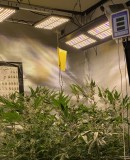 50534DAA-6718-4D57-9C5E-58FC1B2D19CE