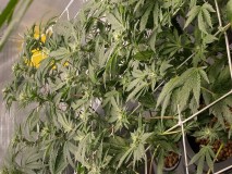 AB5DDA84-623B-4007-A070-88B86C950083