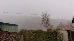 obscura1617722989359