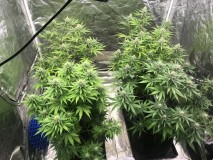 BEC0421D-31C9-4333-B374-45C4573F45AC