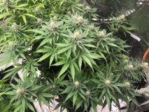 F97C3541-2A8F-4B21-95E6-05E25CA8A251