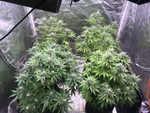 31910E0D-6C5D-4610-9DA9-E2781DCC88F7