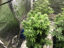 B4B6F3F8-751B-4CB7-898F-466C4F2CAEB8