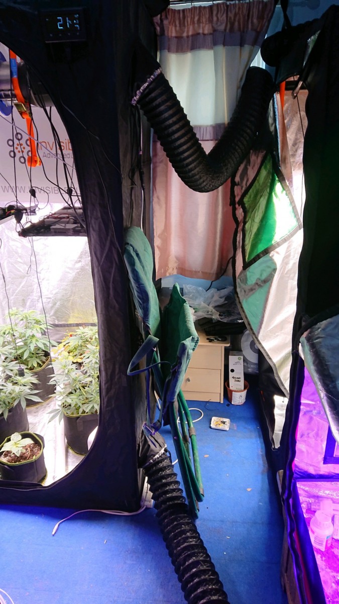 obscura1617802939092