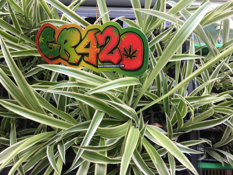 C71F65B8-5F8E-458C-8FD0-3E3EF71B53ED