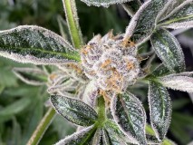 8CC775D4-B645-4EE4-A558-182AFE9DF2B3