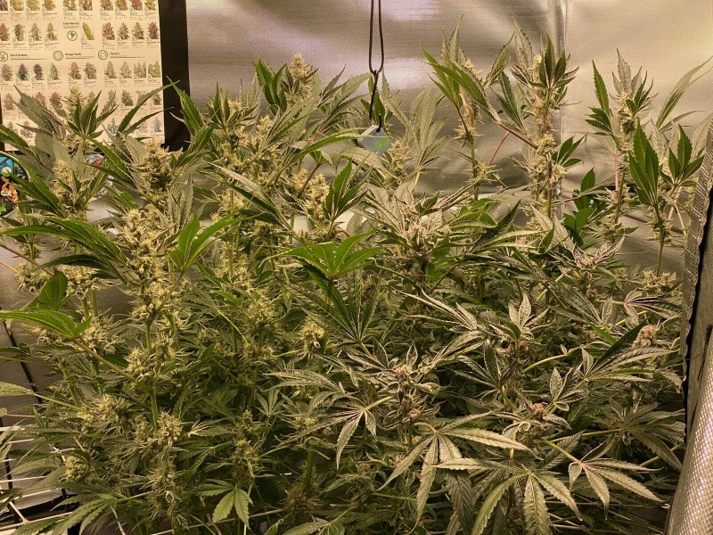 49F96386-CB7C-43AF-9DB3-E25A82F8B54D