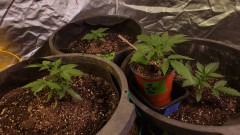 16178404195738883932337923184044