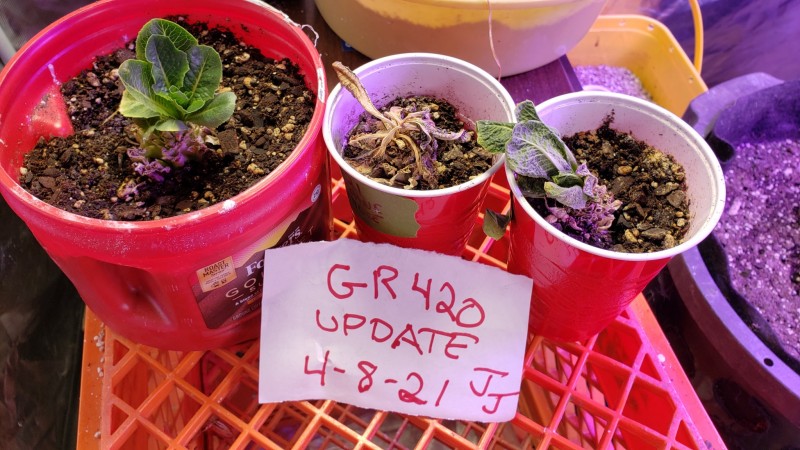 16179248746753166215272906634745