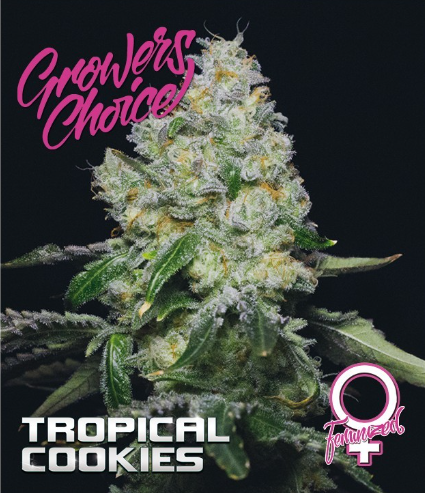 Screenshot 2021-04-10 08.34.44