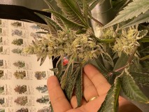 7E0EF64E-CB2A-4546-9D6C-859314DCC263