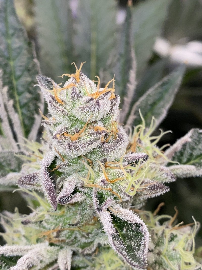 57F6D90B-580F-45B3-851F-FE0405B6E5E2