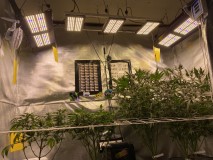 69D47D36-4C55-4C21-906E-182E272A308C