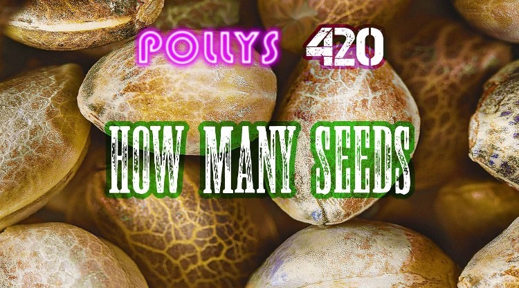 05DB318B-6A87-4FE5-934D-A4E494AF8F56