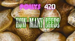 05DB318B-6A87-4FE5-934D-A4E494AF8F56