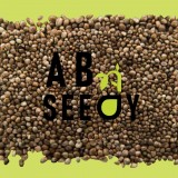 Photo Apr 09, 12 27 52 PM