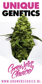 GC20042_GC_Banner_Growroom420_Static180x360px_