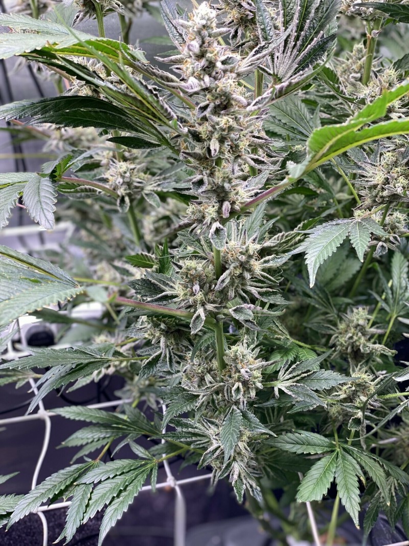 05F1B291-4784-4E2C-8781-55F9F21B68C2