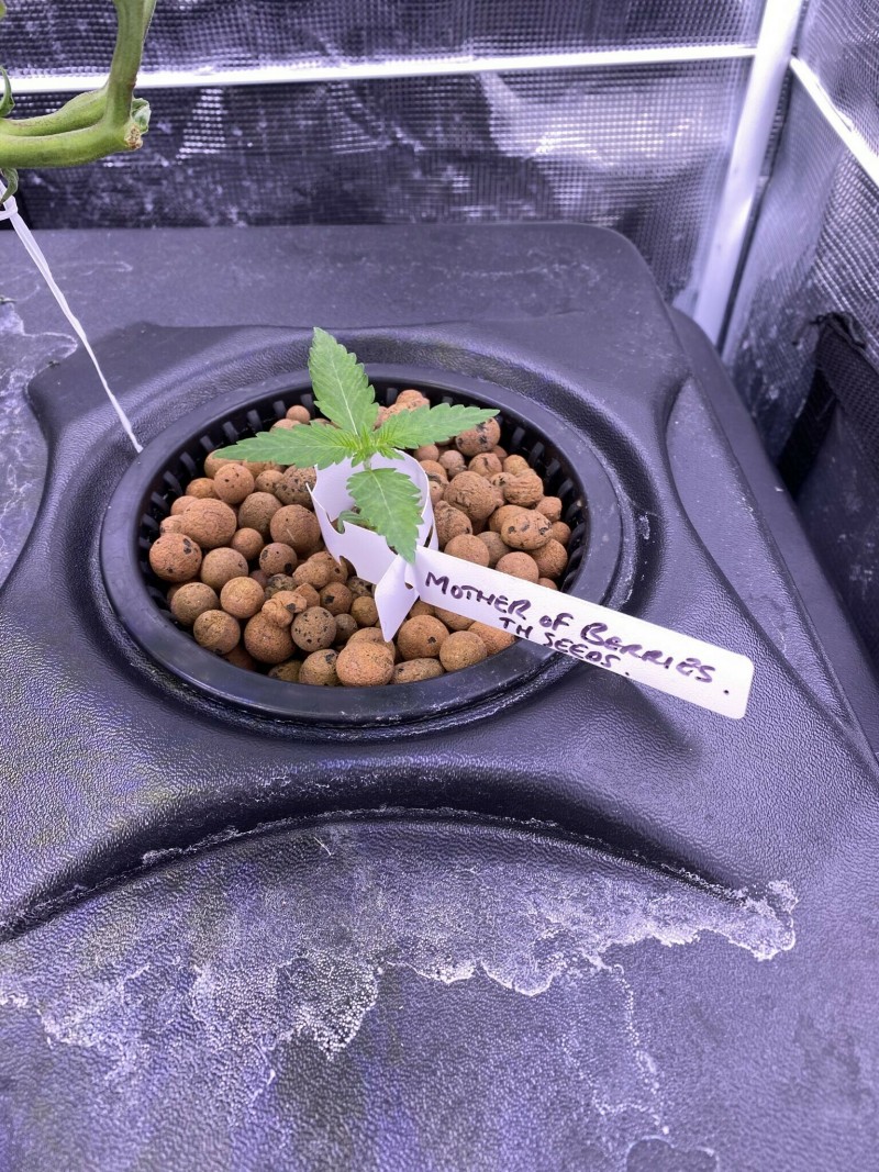 E1DE015E-33AF-47DF-B3D2-44E0299DBC1A