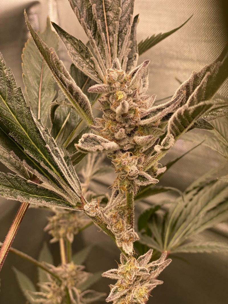 6B06251E-0655-4AD4-9310-188609F423FC