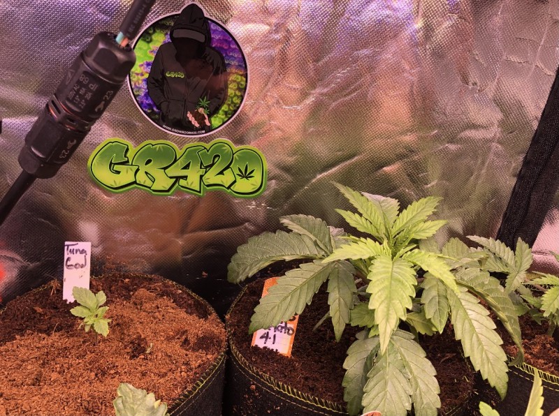 90BD06E3-4640-4A4D-9F53-94288A960341