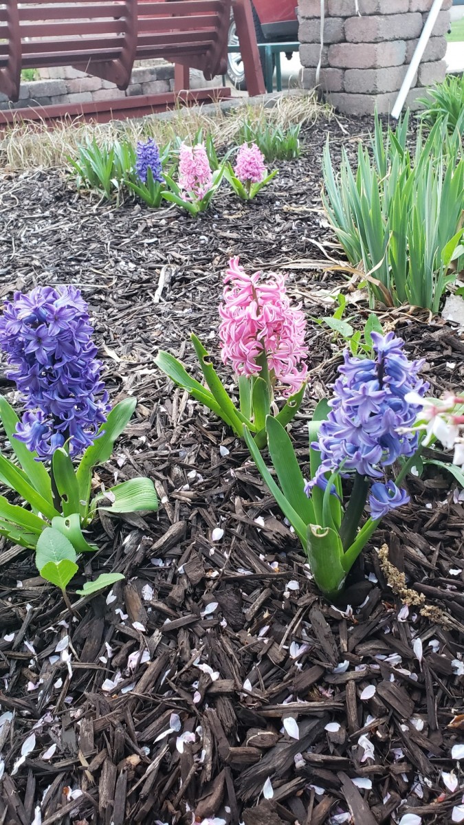 16182703980641899503236298448459