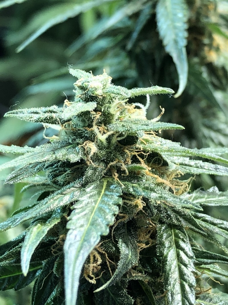 B4DAC8FB-85C7-404F-B366-850D5A41C2BF