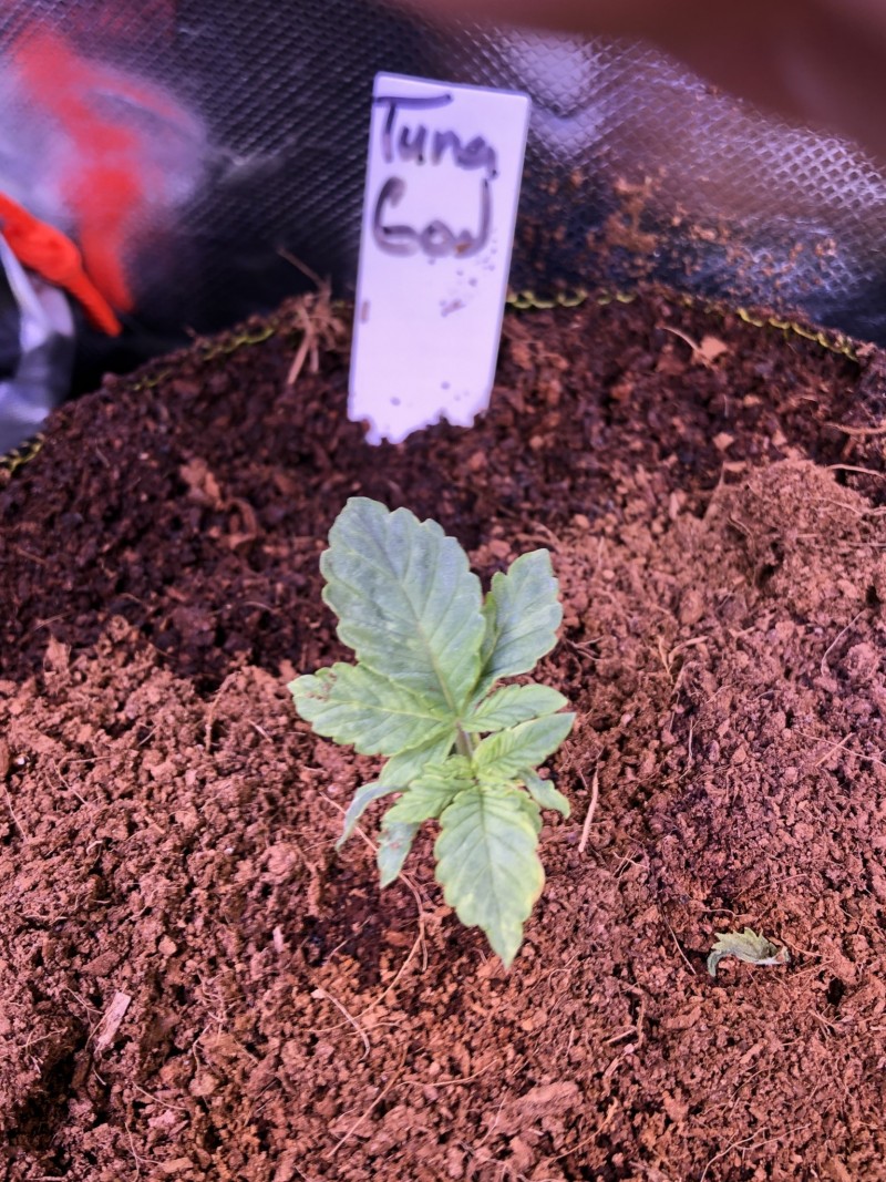 1AFFD88E-EC75-4804-AD92-A921B55DDD96