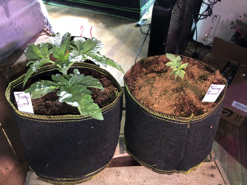 B050AA7D-AD77-4CAE-98D8-35133BE5AF97