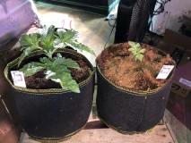 B050AA7D-AD77-4CAE-98D8-35133BE5AF97