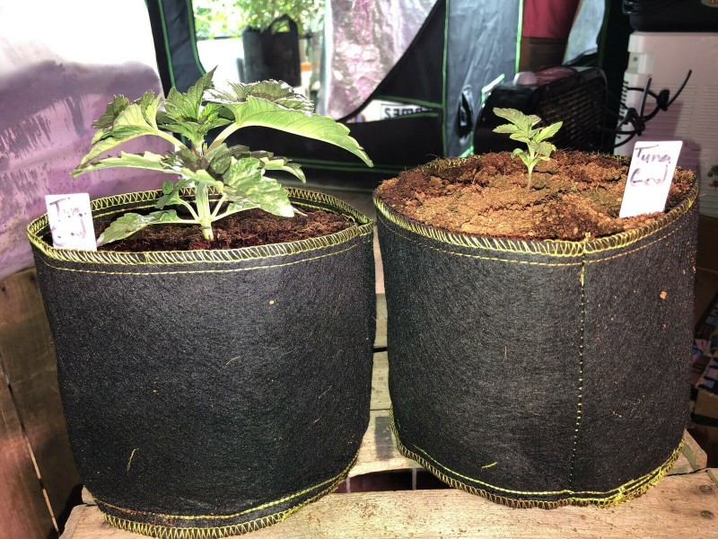 7C532EA0-0863-4216-B893-26E9DBF41CB3