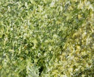 Screenshot_20210414-185847_OTG View