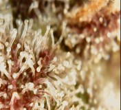 Screenshot_20210414-190137_OTG View