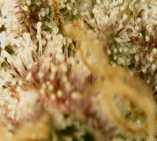 Screenshot_20210414-190521_OTG View