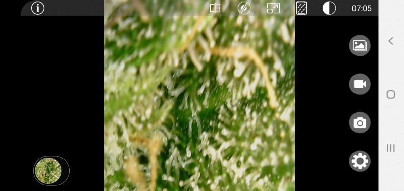 Screenshot_20210414-190541_OTG View