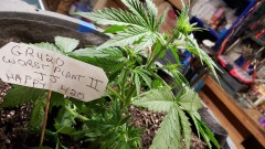 16184489365637440961614326321867