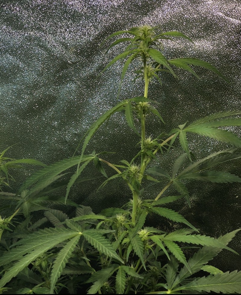 5A6FFD58-A022-4270-899A-47C4957BC623