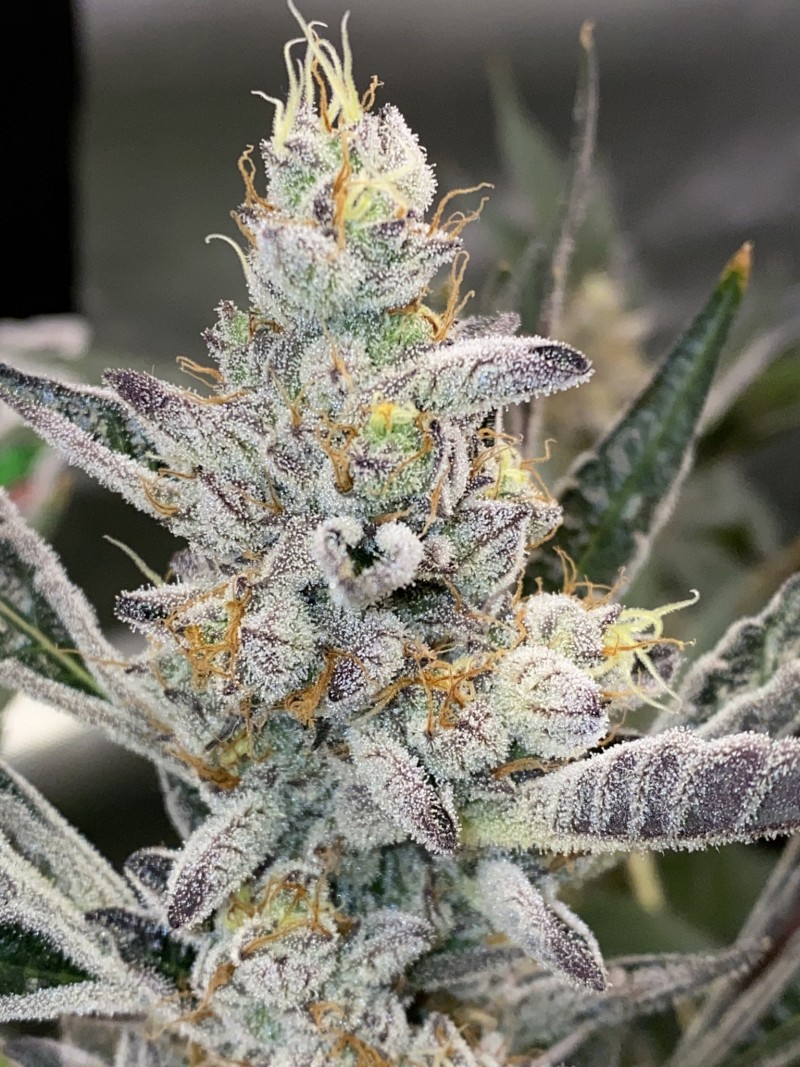 42EE0F46-F1DA-47D3-B013-2EBC75D90A5C