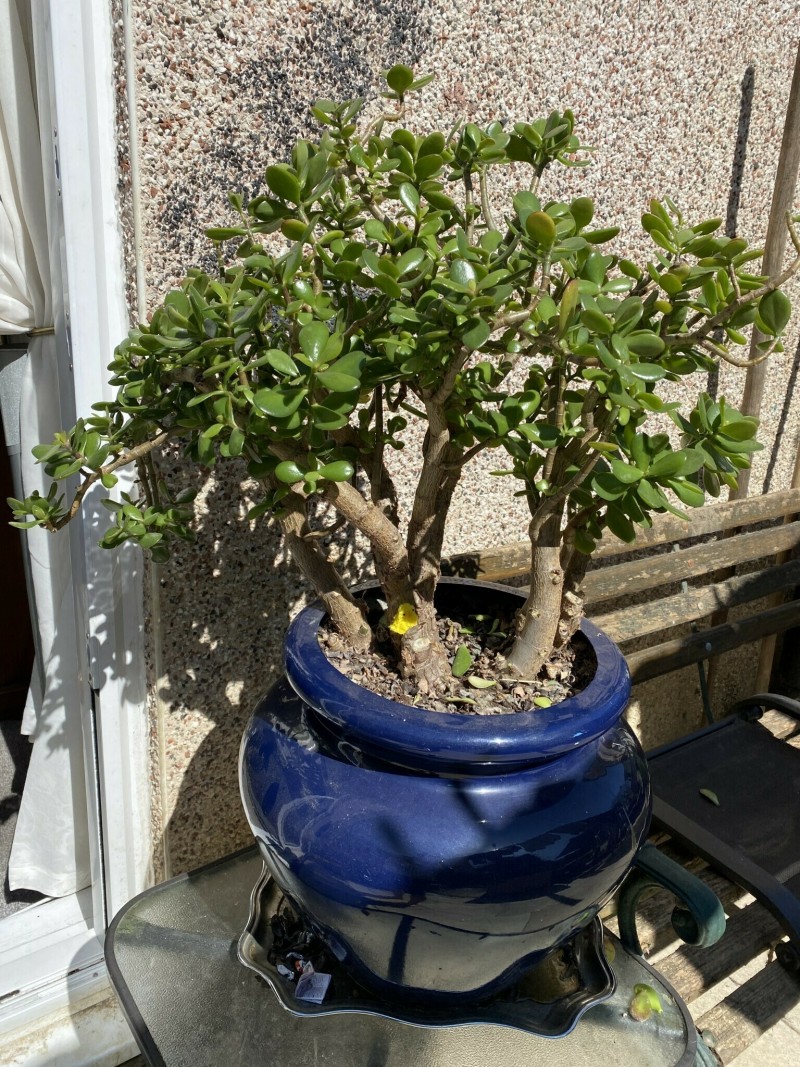 58743B77-45F8-499F-B165-822C2CD98791