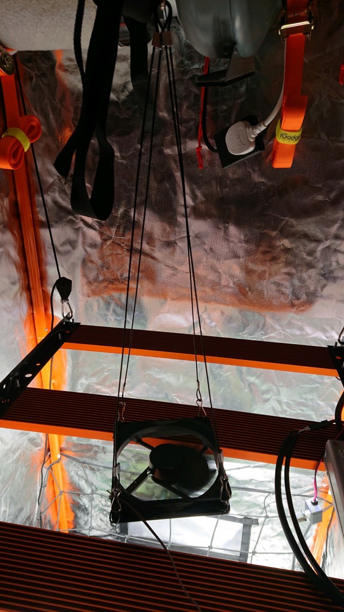 obscura1618678436028