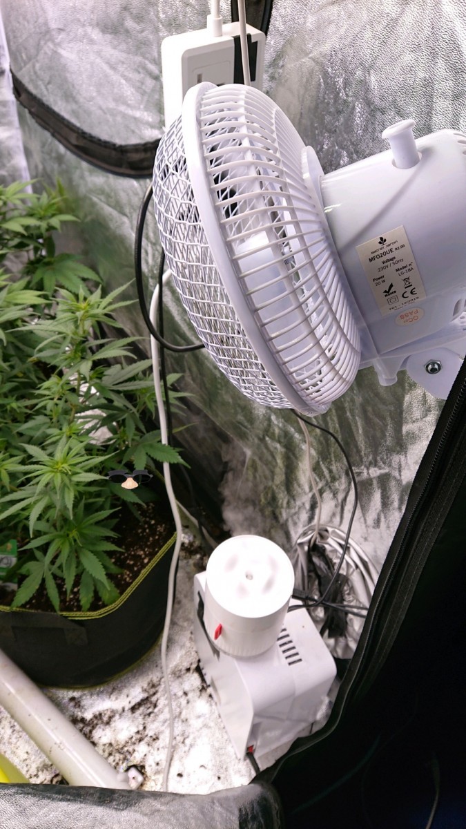 obscura1618763707619