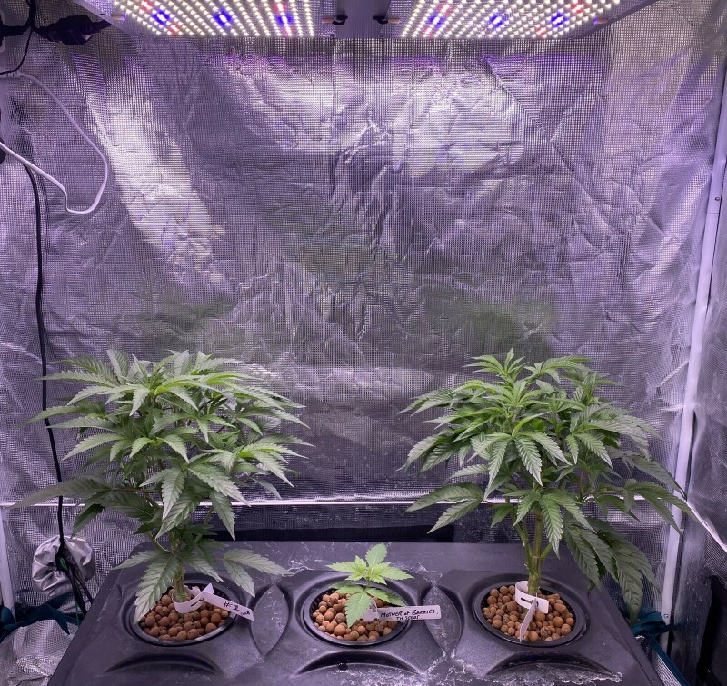 A550C21E-4008-4B46-84D2-69355B44217C