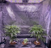 A550C21E-4008-4B46-84D2-69355B44217C