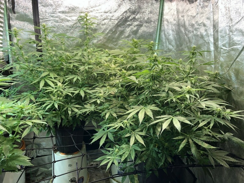 1D2D1F09-5832-4ACF-A0C2-1D0EADB962C7